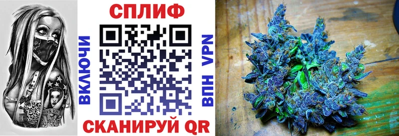 Купить закладки  Торопец  Шишки марихуана LSD WEED 